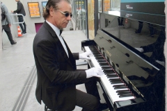 Avocat-Pianiste-217Mod